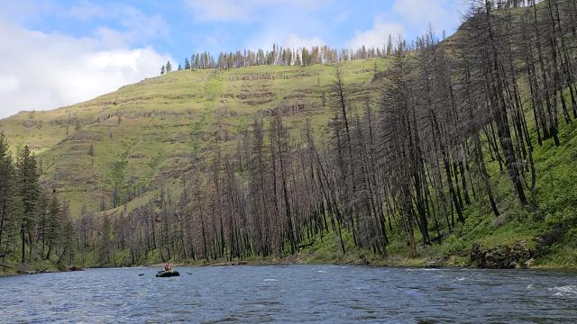 Boaters on the Grande Ronde River with Elbow Creek Fire scar visible, looking downstream, 2024.