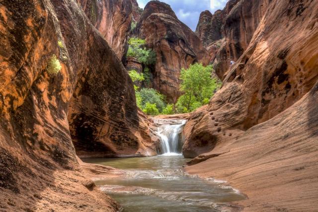Image shows a red rock canyon with a stream running through it. 