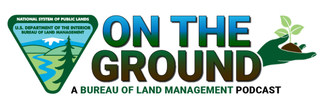 On The Ground logo for BLM Podcast