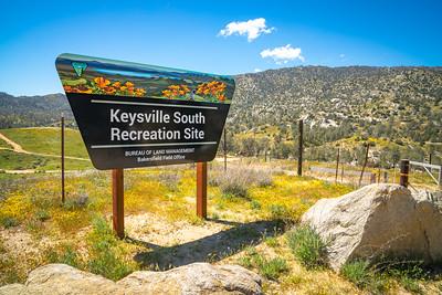 Keysville sign in a field of wild flowers.