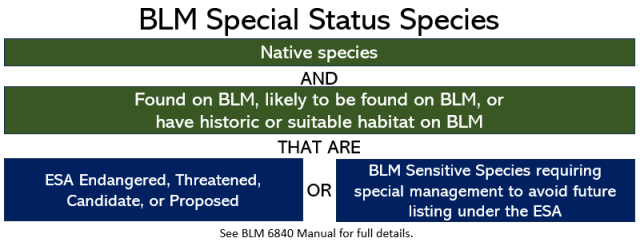 BLM Special Status Species are Native species and found on BLM, likely to be found on BLM lands or affected by BLM. They also must be one of the following:  Endangered Species Act Endangered, Threatened, Candidate, or Proposed; or Removed From the Endangered Species Act list of Threatened and Endangers Species (through U.S. Fish and Wildlife Service/National Marine Fisheries Service monitoring period); or BLM Sensitive Species requiring special management to avoid future listing under the Endangered Species