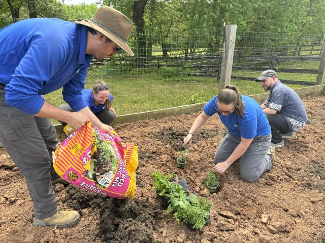 BLM revitalizes community garden at Meadowood Special Recreation ...