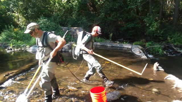biologists carry equipment in a stream