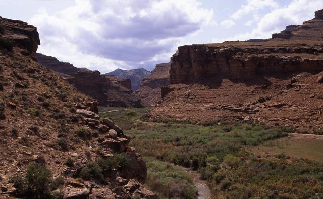 Nine Mile Creek going through a canyon.