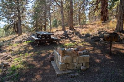 A campsite with a fire ring and picnic table
