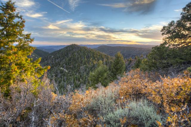 View towards tree covered, mountainous landscape.