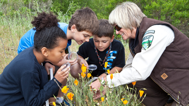 Children learning about wildflowers with a BLM employee