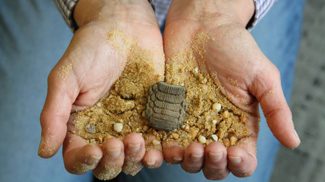 A person holds fossils, rocks, and sand in their hands