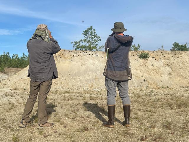 Two researchers observe bank swallows from a distance using binoculars..