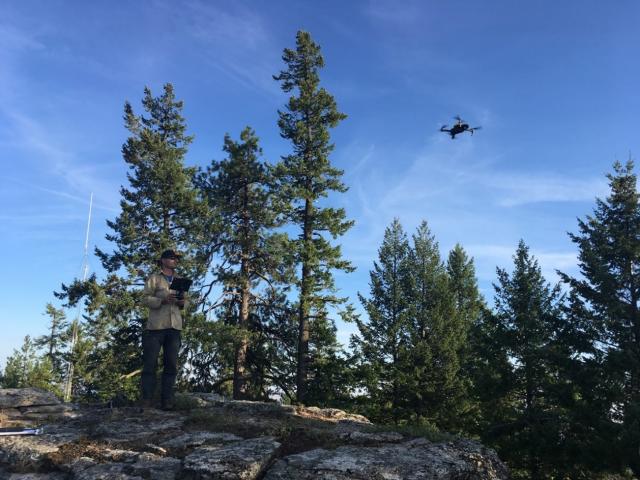 A small drone flies through an idyllic forest scene