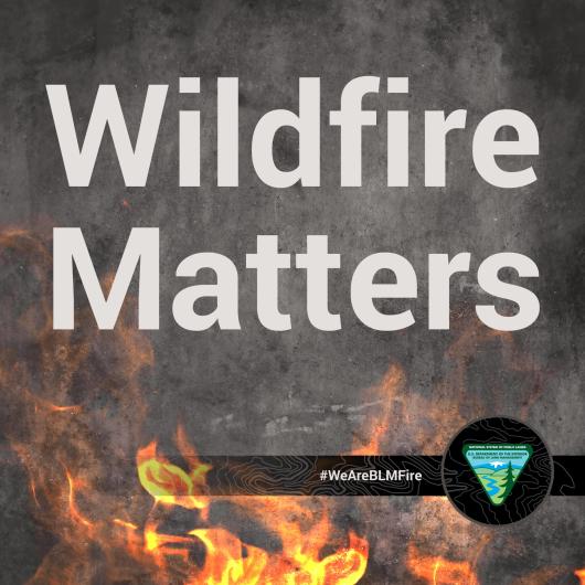 Logo reading "wildfire matters" featuring the BLM logo and flames