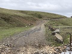 Spring Branch Road, gravel and wet road with gray skies. 