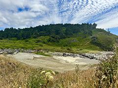 A wide dry creek with driftwood.