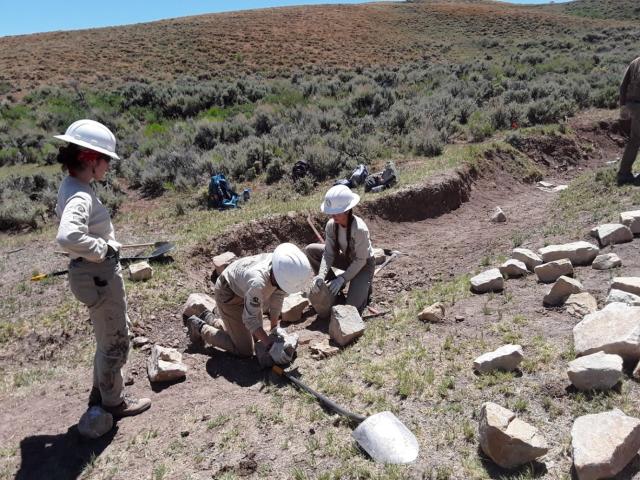 BLM partners to restore habitat | Bureau of Land Management