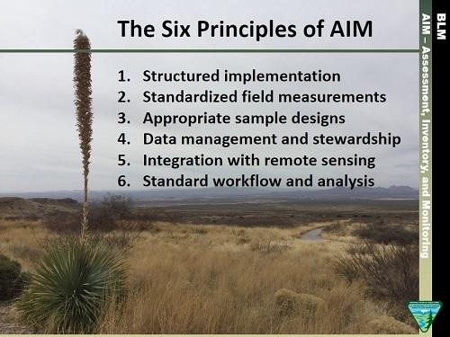 AIM 6 principles crop