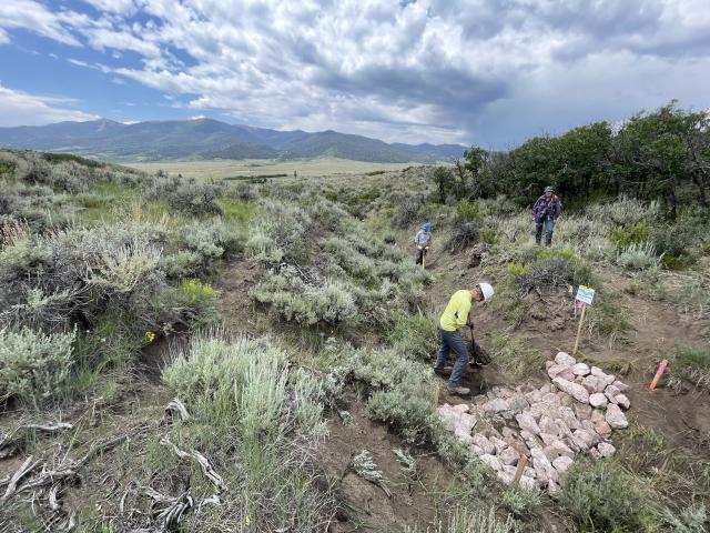 Greater Sage-Grouse | Bureau Of Land Management