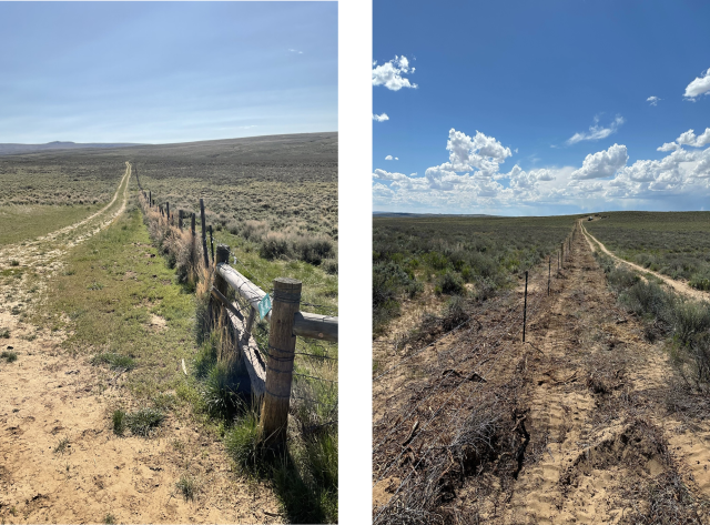 JO fence before and after