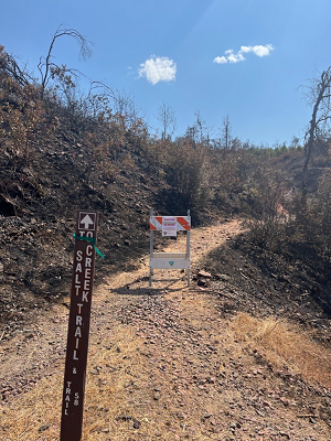 A photo of a closed trail through chaparral covered foot hills