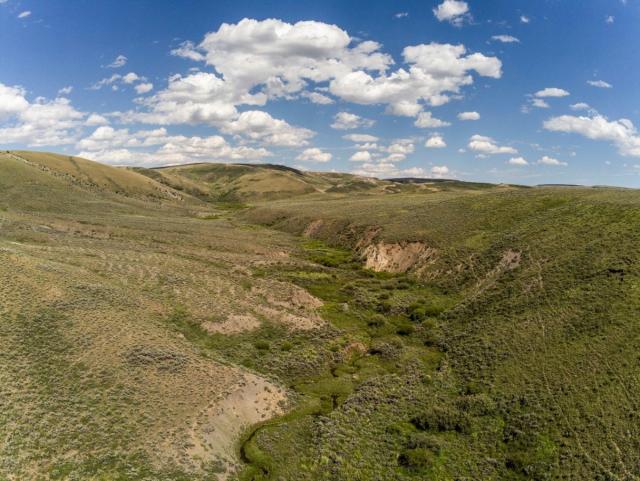 BLM-WY-LittlefieldCreek