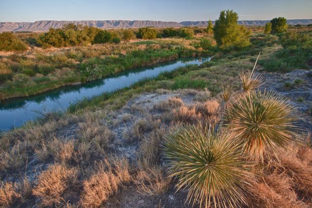 A view of the Black River with yucca plants in the foreground.