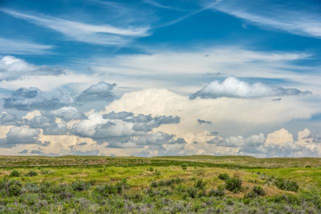 Grasslands with big blue sky and fluffy cloud formations