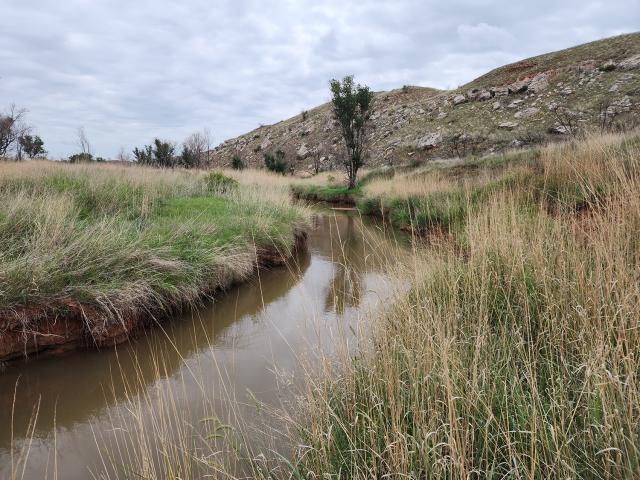 Site photo at a Riparian habitat survey data collection point demonstrating well vegetated banks.