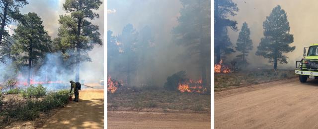 On Saturday, BLM fire personnel successfully treated 131 acres on the West Dolores Rim.