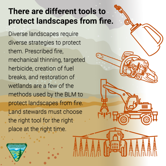 Graphic shows a driptorch, a chainsaw, a truck spraying herbicide, and a tractor. Text reads: There are different tools to protect landscapes from fire. Diverse landscapes require diverse strategies to protect them. Prescribed fire, mechanical thinning, targeted herbicide, creation of fuel breaks, and restoration of wetlands are a few of the methods used by the BLM to protect landscapes from fire. Land stewards must choose the right tool for the right place at the right time. The BLM logo appears in the low