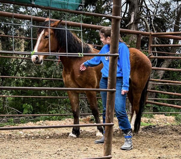 Kiauna Curtis stands inside of a pen with her adopted BLM Mustang Curtis, touching him for the first time since bringing him home.