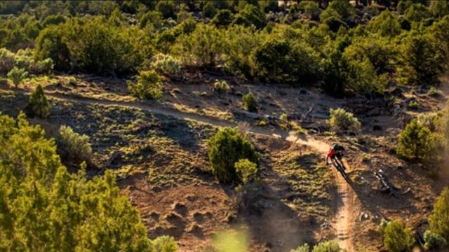 Mountain biker comes down a singletrack on the Phil's World trail system in Tres Rios Field Office, CO.