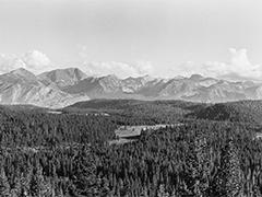 A black and white photo of mountains and a forest.