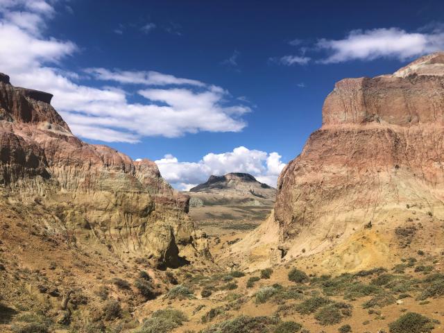 photo by Lauren Hazzard of White Horse Creek 