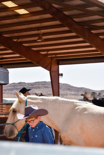 WHB Fest Day 1 - A young trainer and his horse getting ready for Day 1 Competitions.