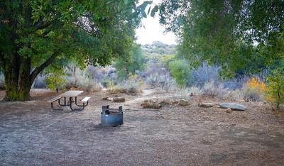 A picnic table and fire pits under a tree.