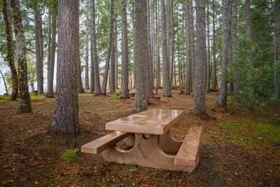 A picnic table in a forest