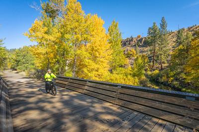 A man in bright  yellow bicycles over a bridge with yellow trees in the background.