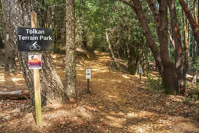 A  bike  path with directional signs in a dense forest