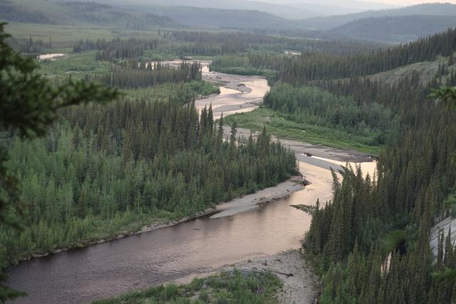 A river winding through green pine wilderness in Alaska