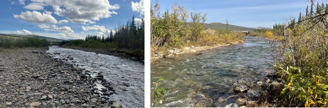 Before and after photos of Nome Creek.