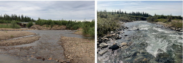 Before and after shots of creek.