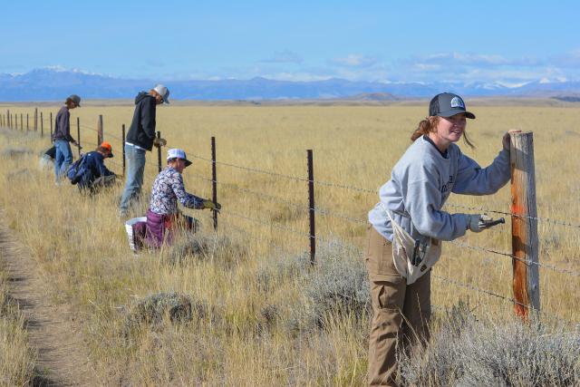 Several people stand or crouch along a fence line, using tools to cut wires.