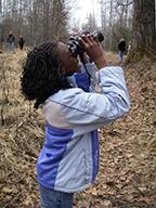 A student uses binoculars and looks up towards the top of a tree. 