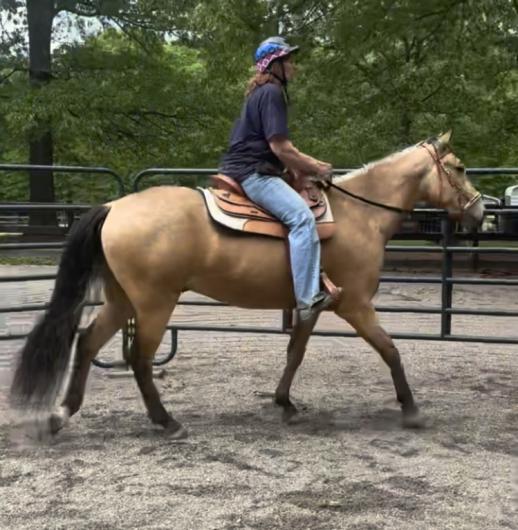 A woman rides on a tan horse inside of an outdoor pen with the fencing of the pen in the background and trees beyond it. 