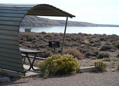 view of the picnic area