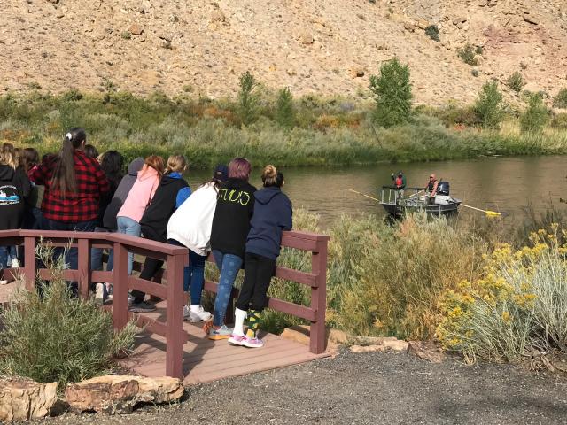 Sixth graders watch Colorado Parks and Wildlife biologists at work along the Gunnison River during Cottonwood Days.