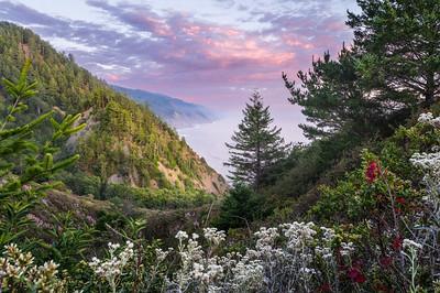 A colorful sunset over a long line of cliffs disappearing into fog. Bright white, red, and green foliage frame the foreground.