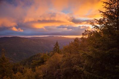 A colorful sunset over a dense forest.