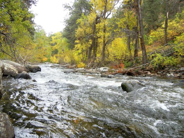 View of the Clear creek 