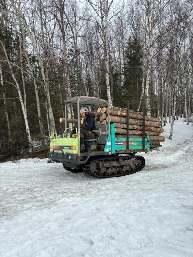 Person drives a skid steer loaded with cut, trimmed logs over an icy, snowy opening next to the woods.