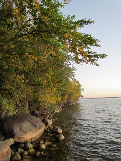 A view of the coast of Leech Lake, with trees and rocks to the left and water to the right. 